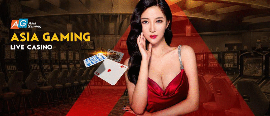 แบนเนอร์โปรโมท asia gaimnig แสดงโลโก้ AG มุมซ้ายบน มีคำว่า "ASIA GAMING LIVE CASINO" ตัวอักษรสีเหลืองเด่นทางซ้าย ภาพด้านขวาเป็นผู้หญิงสวมชุดราตรียาวสีแดงสไตล์หรู อยู่ด้านหน้าพื้นหลังเป็นแถวเครื่องสล็อตและเก้าอี้คาสิโน มีไพ่ลอยกลางอากาศและกราฟิกสีแดงตัดทับให้ความรู้สึกบรรยากาศคาสิโนแบบสด